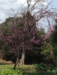 20130406-145655.jpg