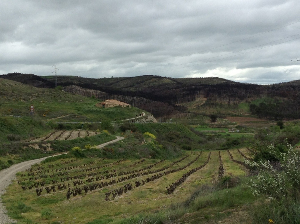 20130419-221215.jpg