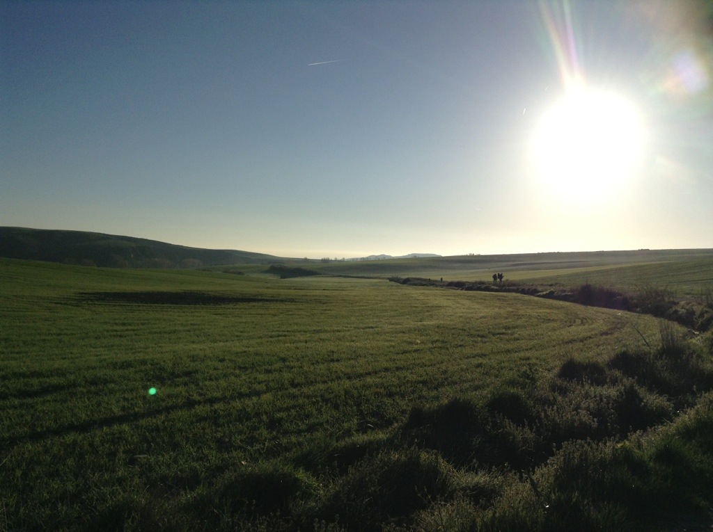 20130424-160750.jpg