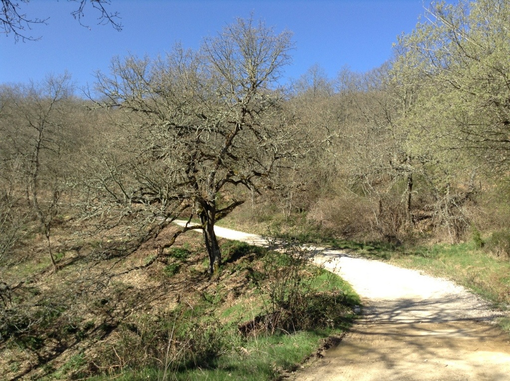 20130424-160845.jpg