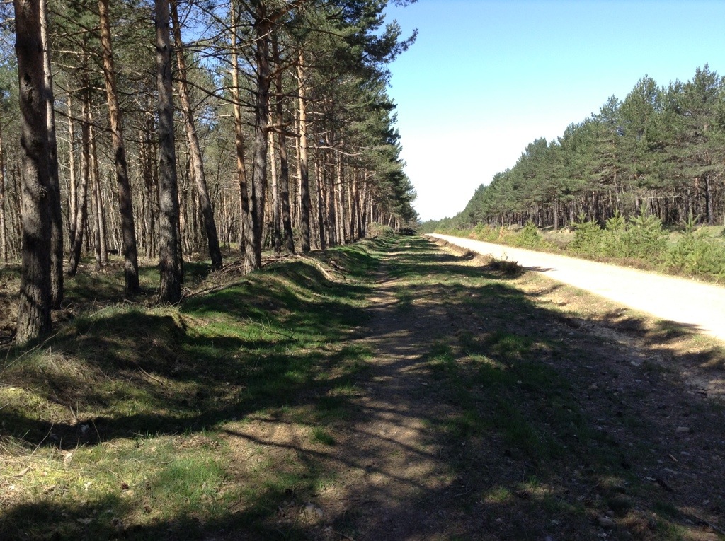 20130424-160859.jpg