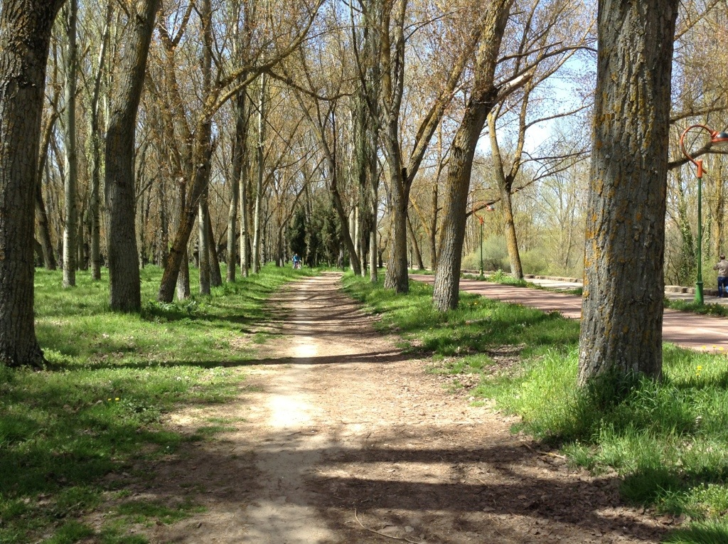 20130426-174556.jpg