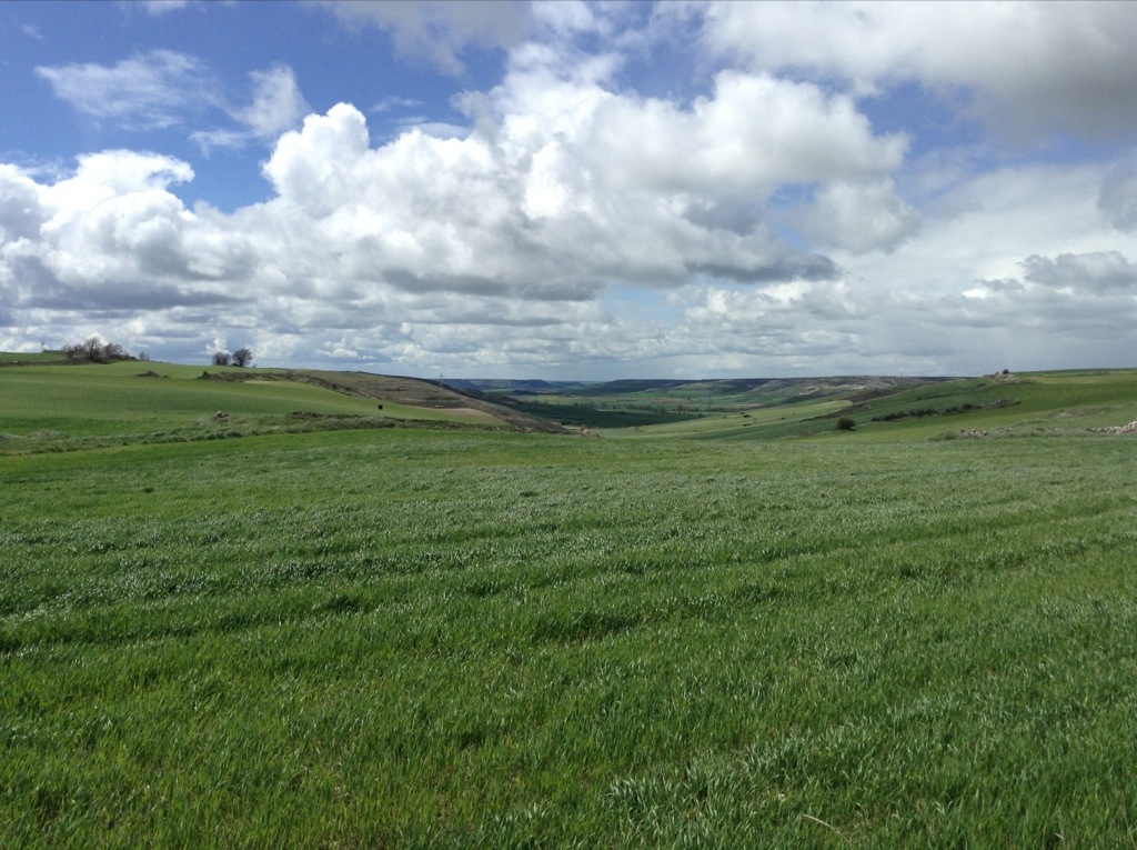 20130428-164448.jpg