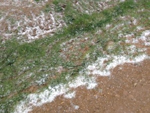 20130428-165827.jpg