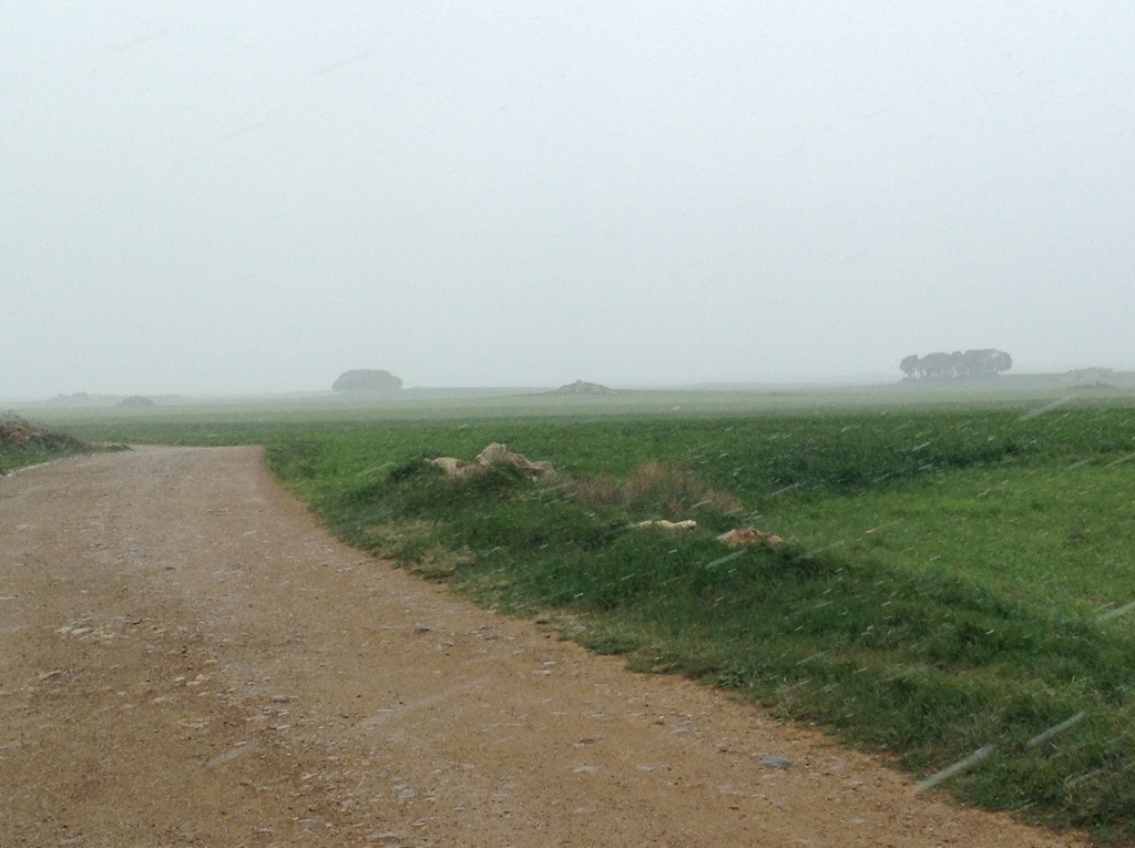 20130428-165936.jpg