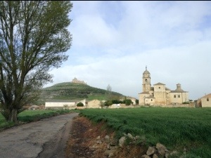 20130428-170324.jpg