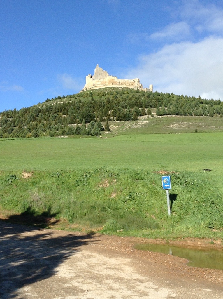 20130428-170338.jpg