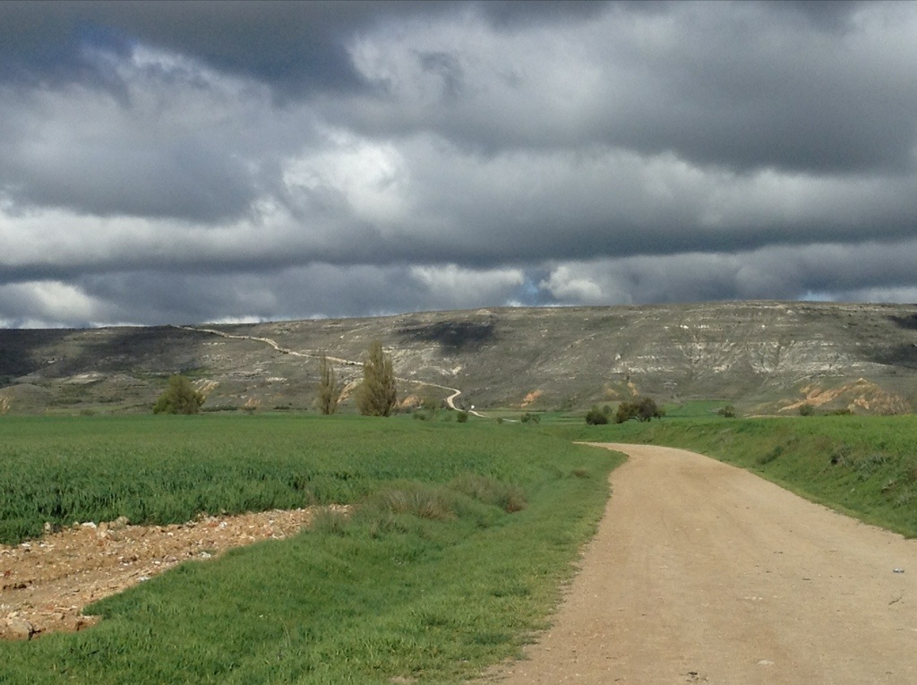 20130428-170555.jpg