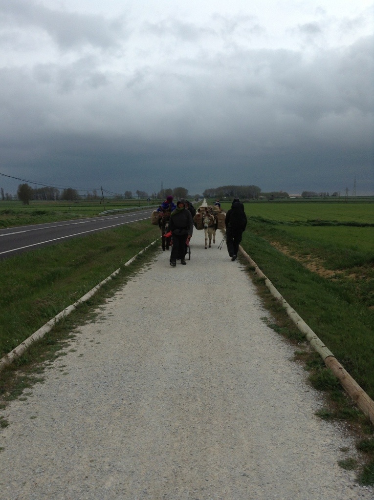 20130430-204807.jpg