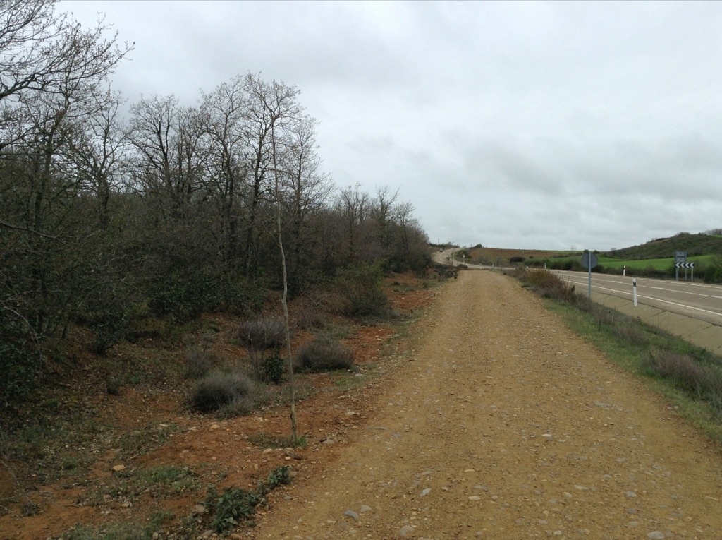 20130430-205315.jpg