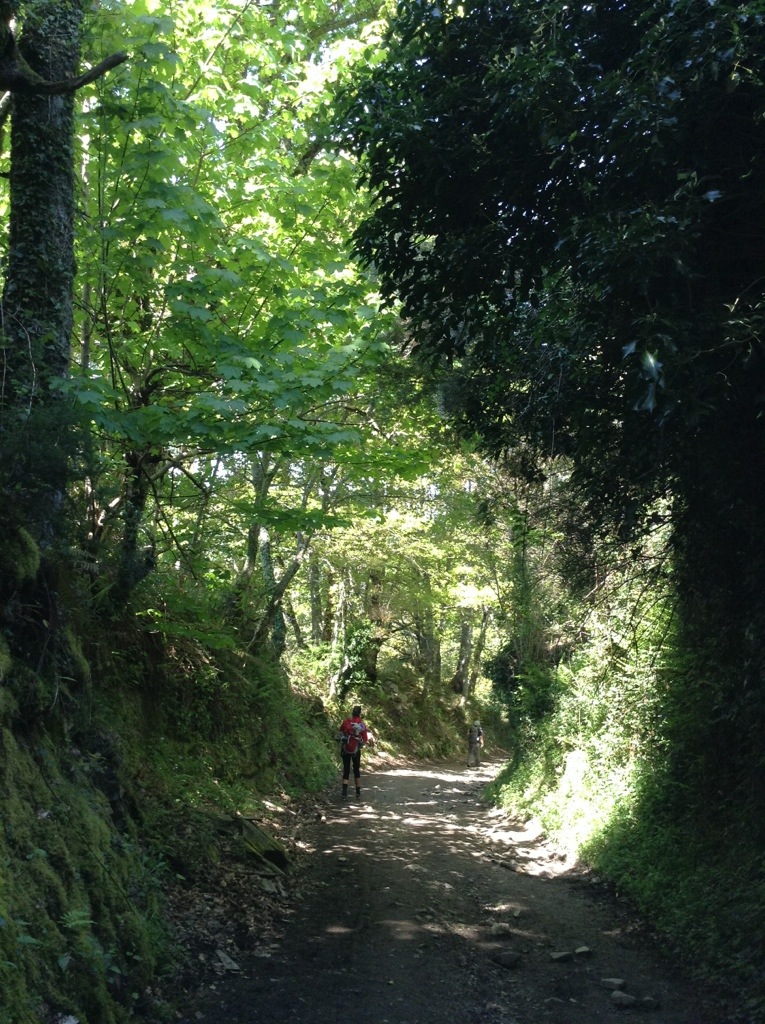 20130512-192430.jpg