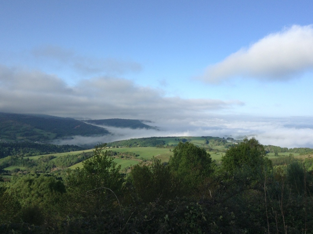 20130512-192503.jpg