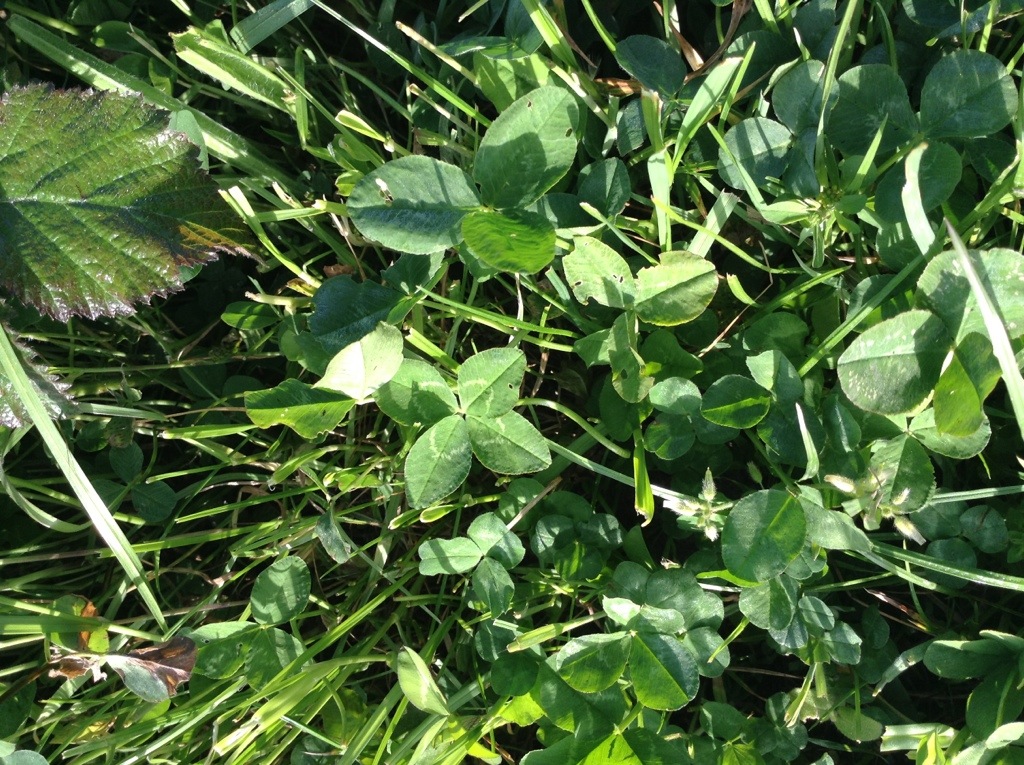 20130512-193409.jpg