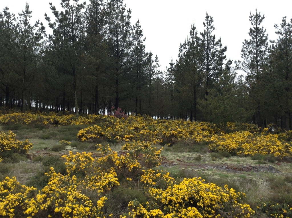 20130516-155737.jpg