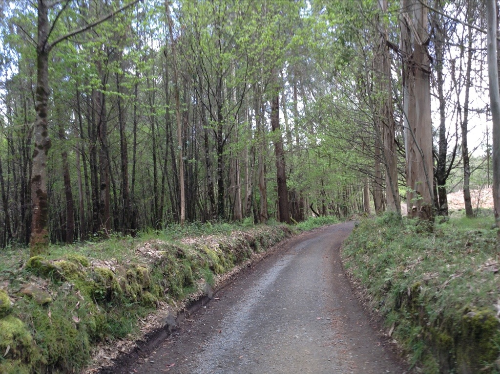 20130516-155811.jpg