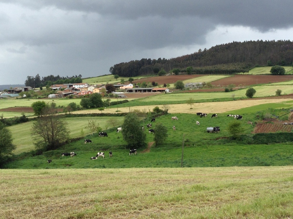 20130516-155904.jpg