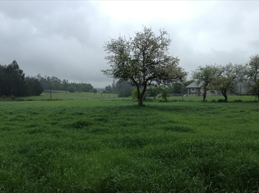 20130516-155927.jpg