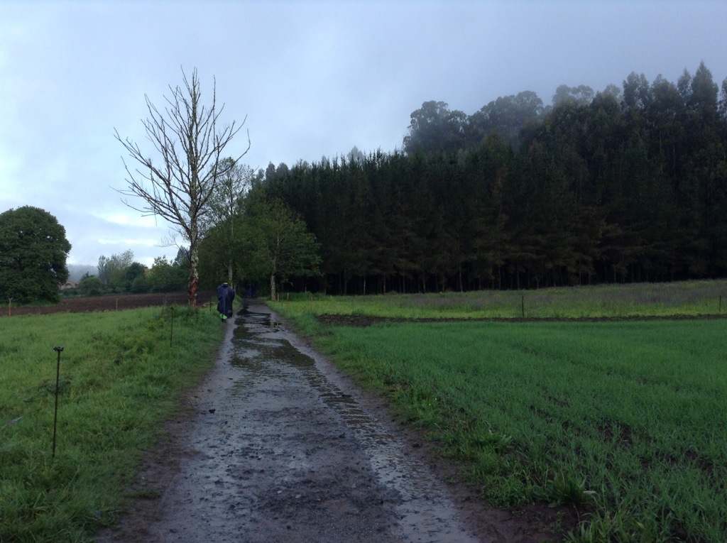 20130518-100327.jpg