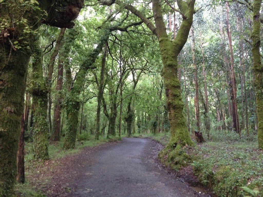 20130518-100647.jpg