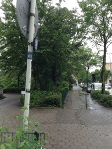 20130526-201824.jpg