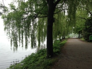 20130529-160537.jpg