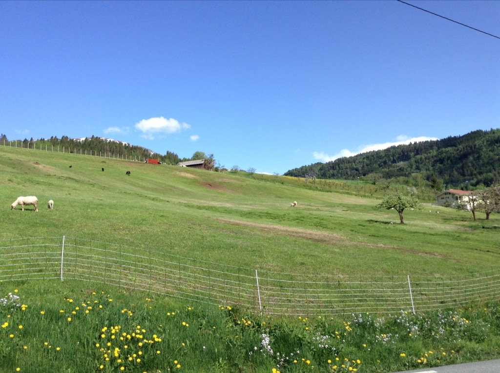 20130603-234119.jpg