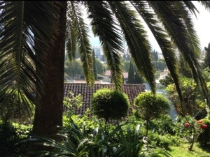 20130615-122253.jpg