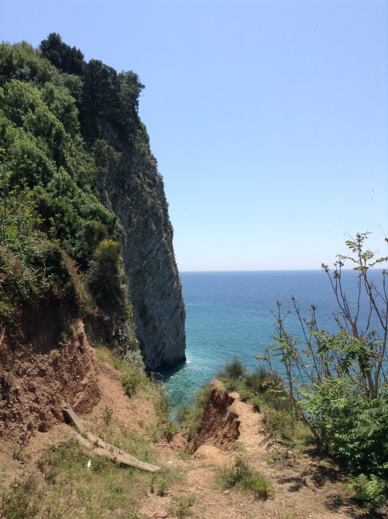 20130615-130126.jpg