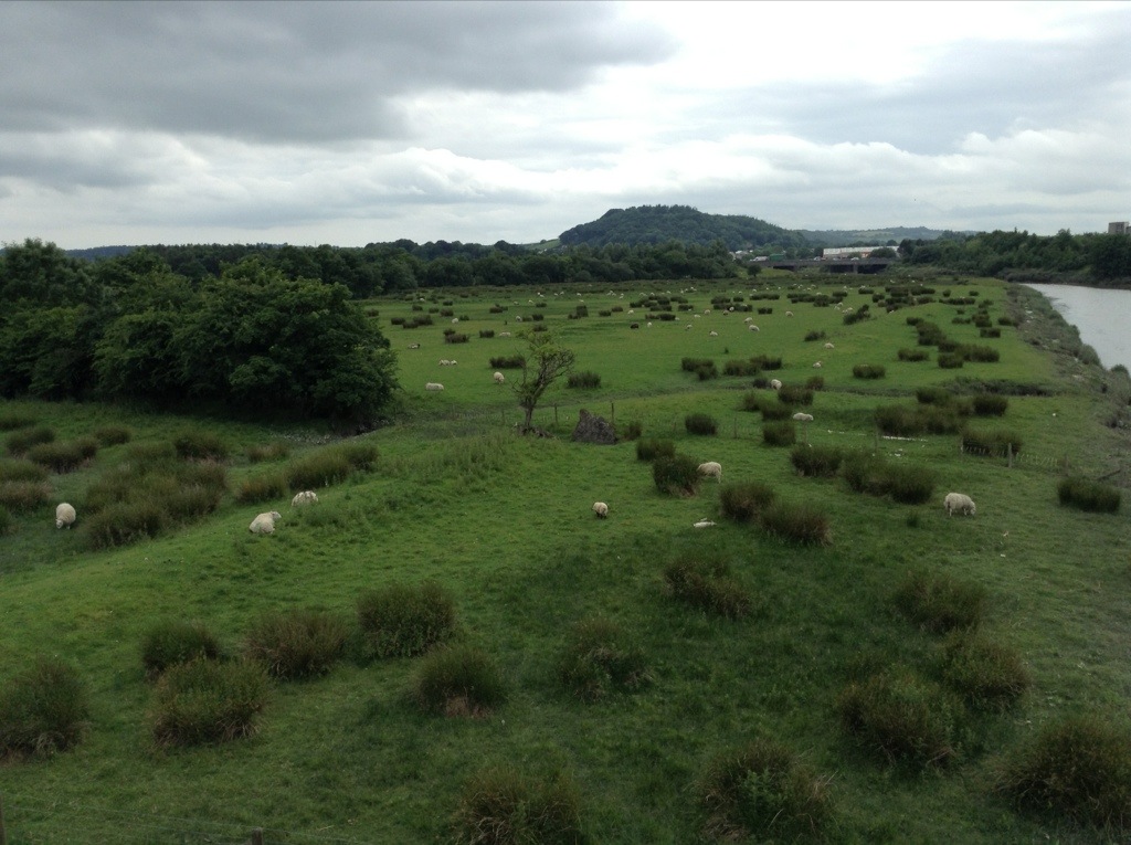 20130628-224658.jpg