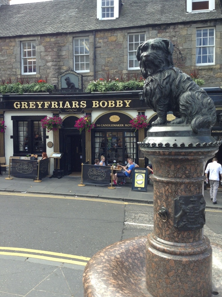 20130806-095307.jpg