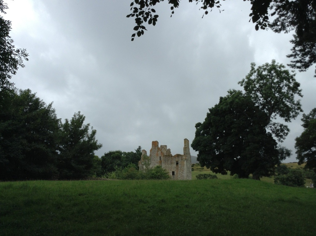 20130806-100233.jpg