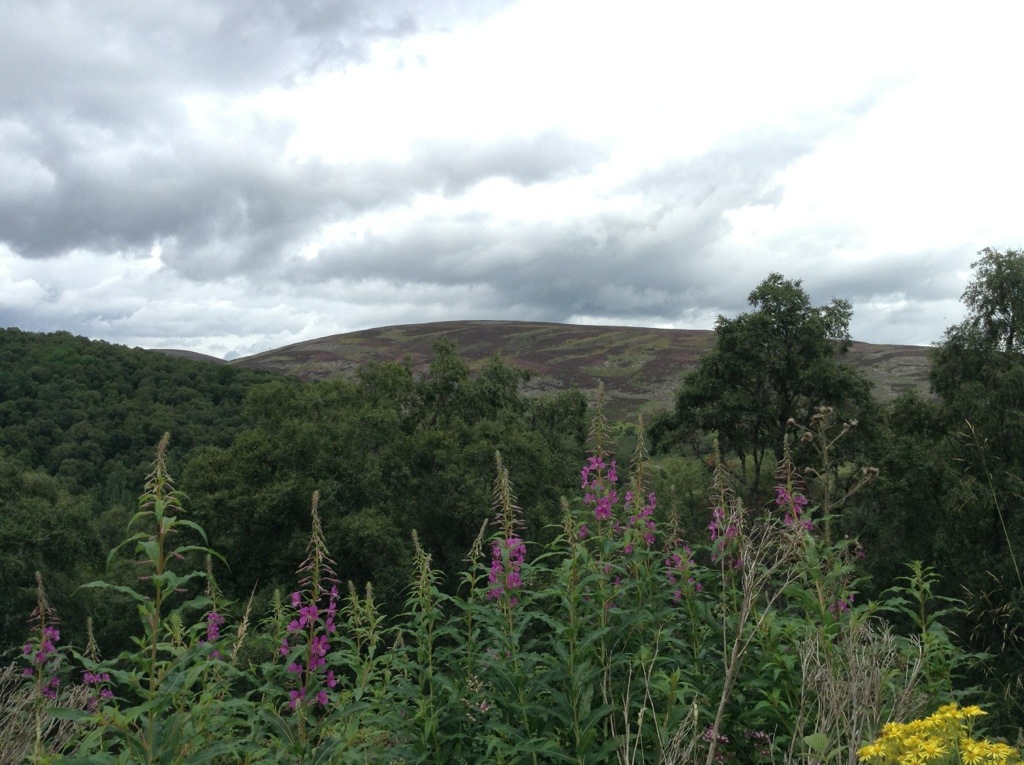 20130809-081316.jpg