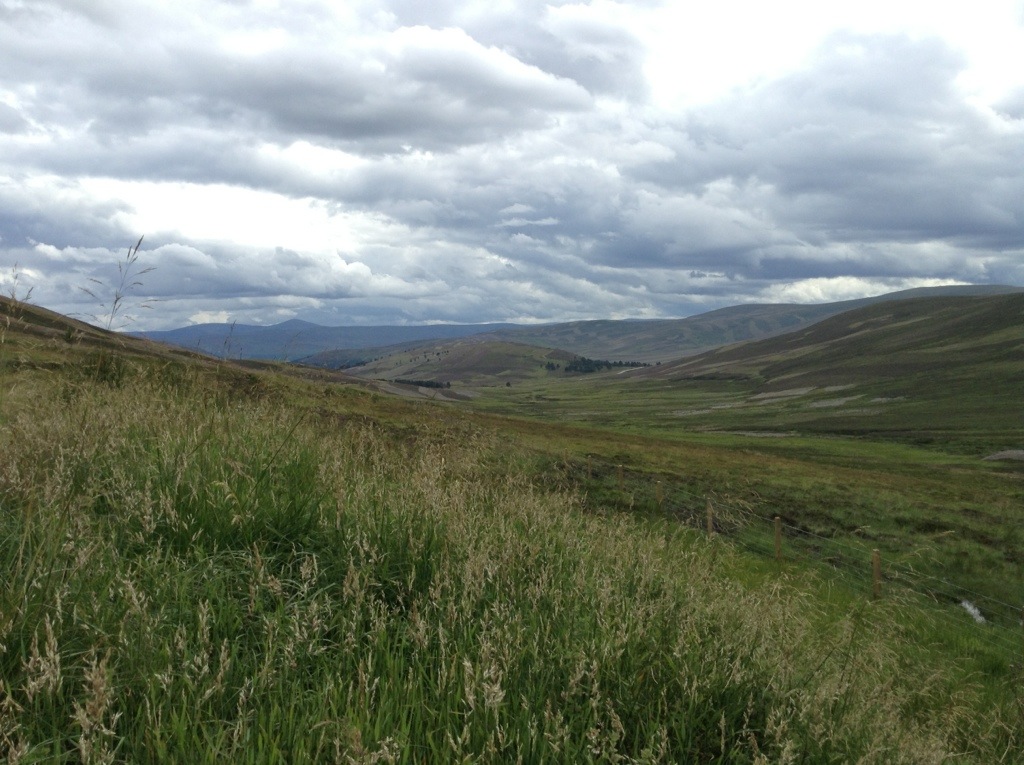 20130809-081350.jpg