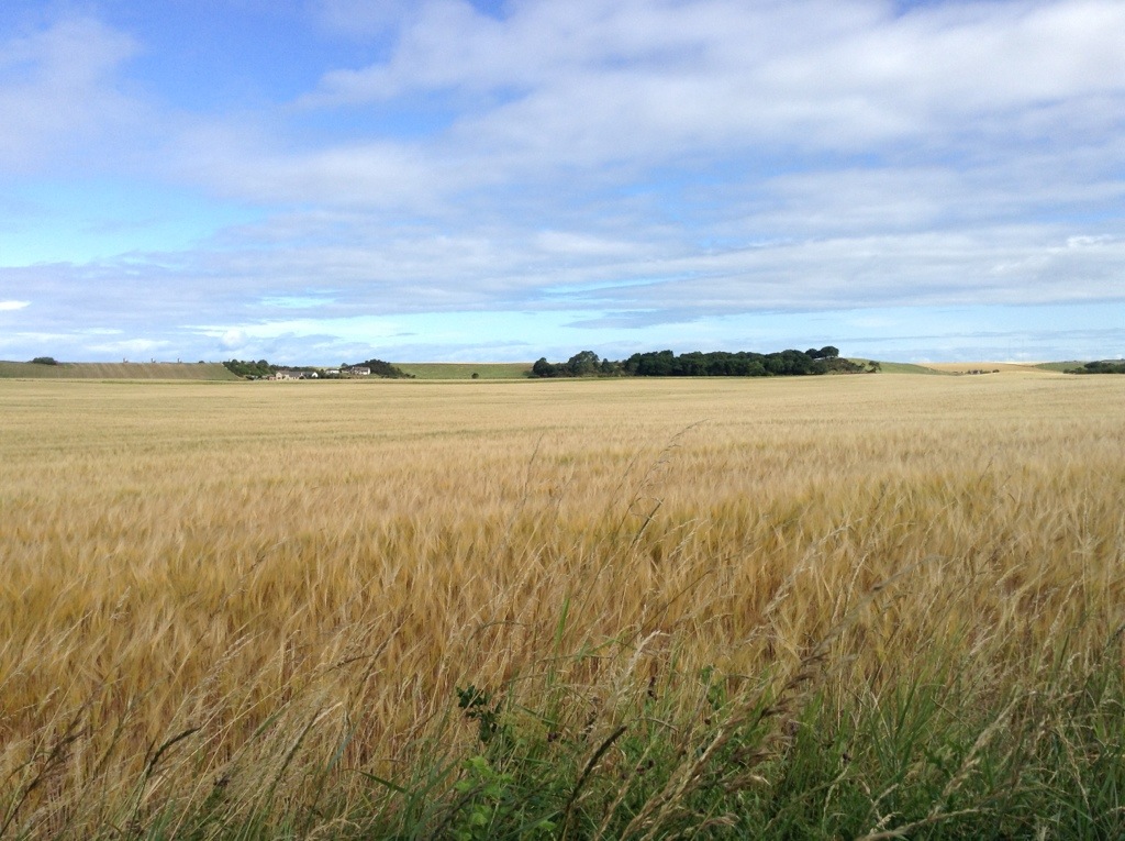 20130809-081602.jpg