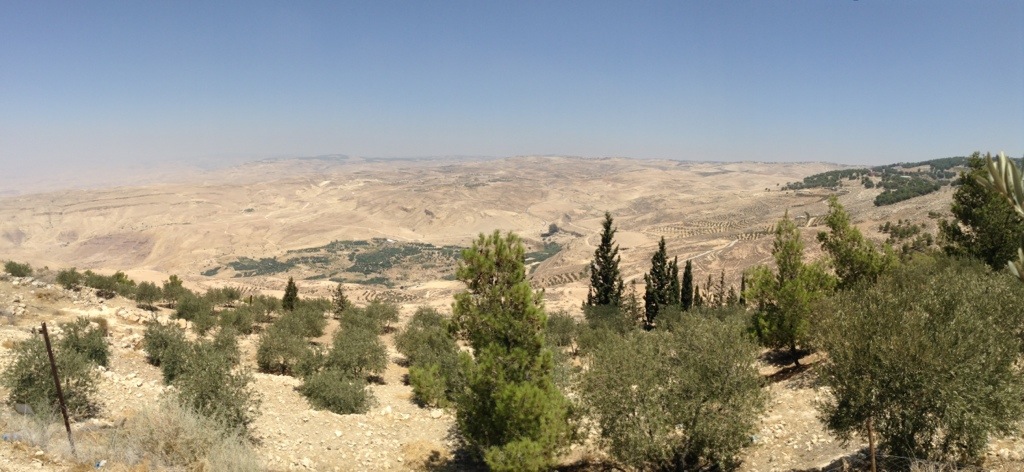 20130815-215719.jpg