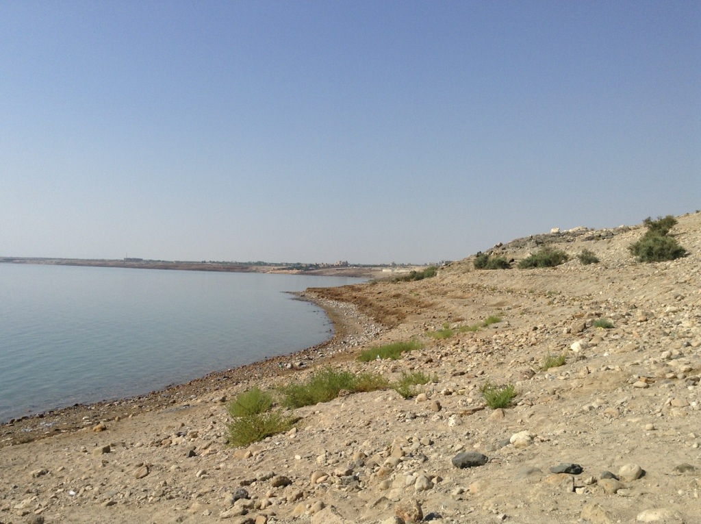 20130815-220009.jpg