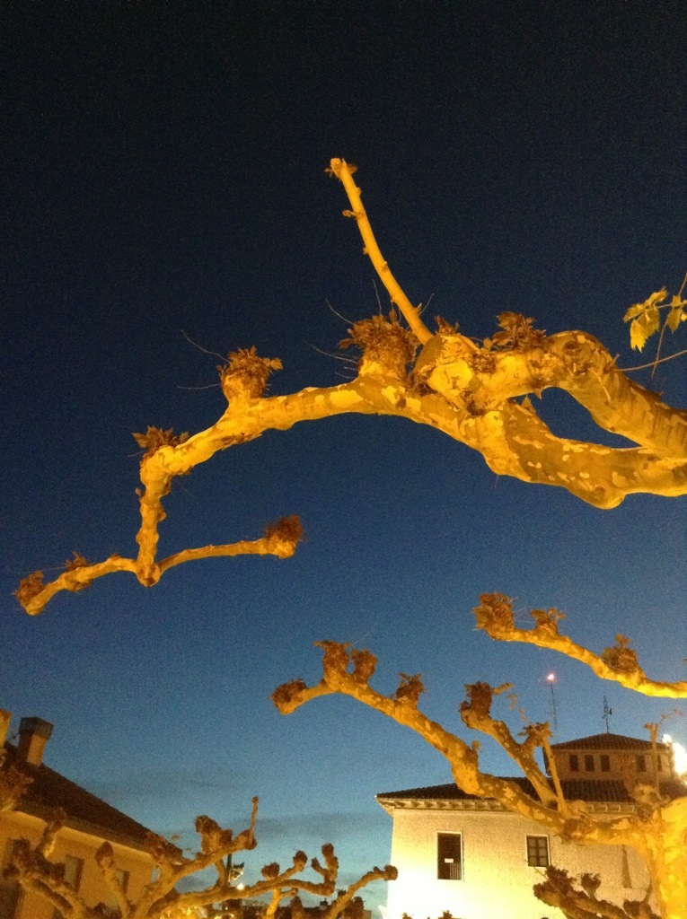 20130826-192721.jpg