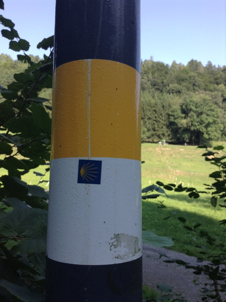 20130902-141606.jpg