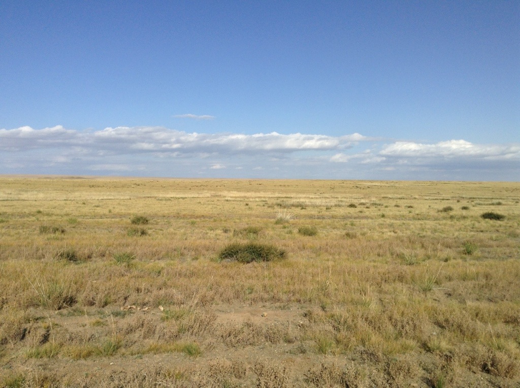 20130929-224002.jpg