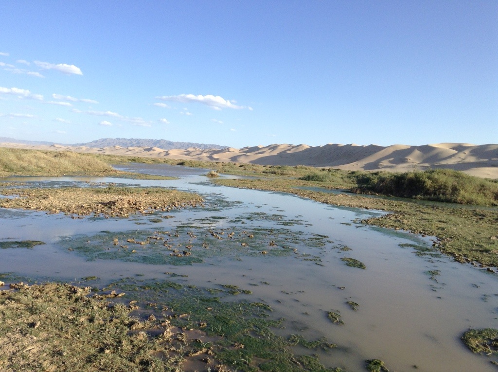 20130929-225254.jpg