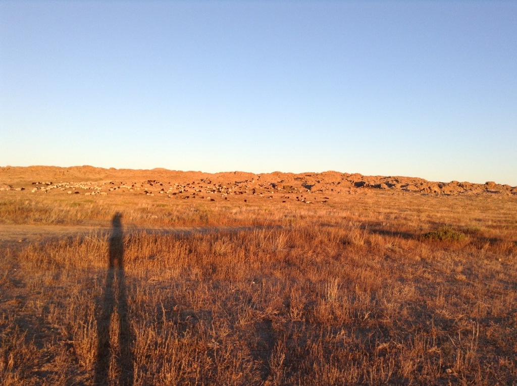20130929-231018.jpg