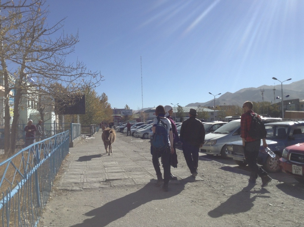 20131007-183218.jpg