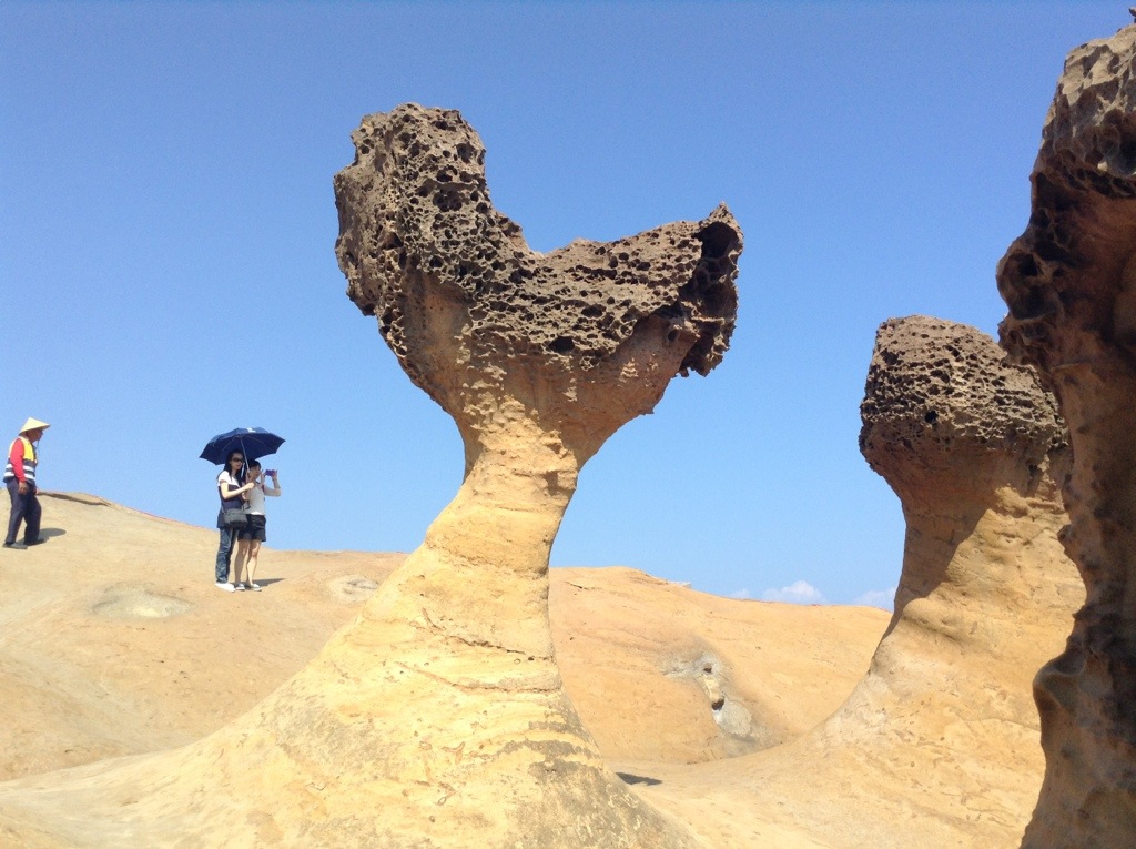 20131102-234102.jpg