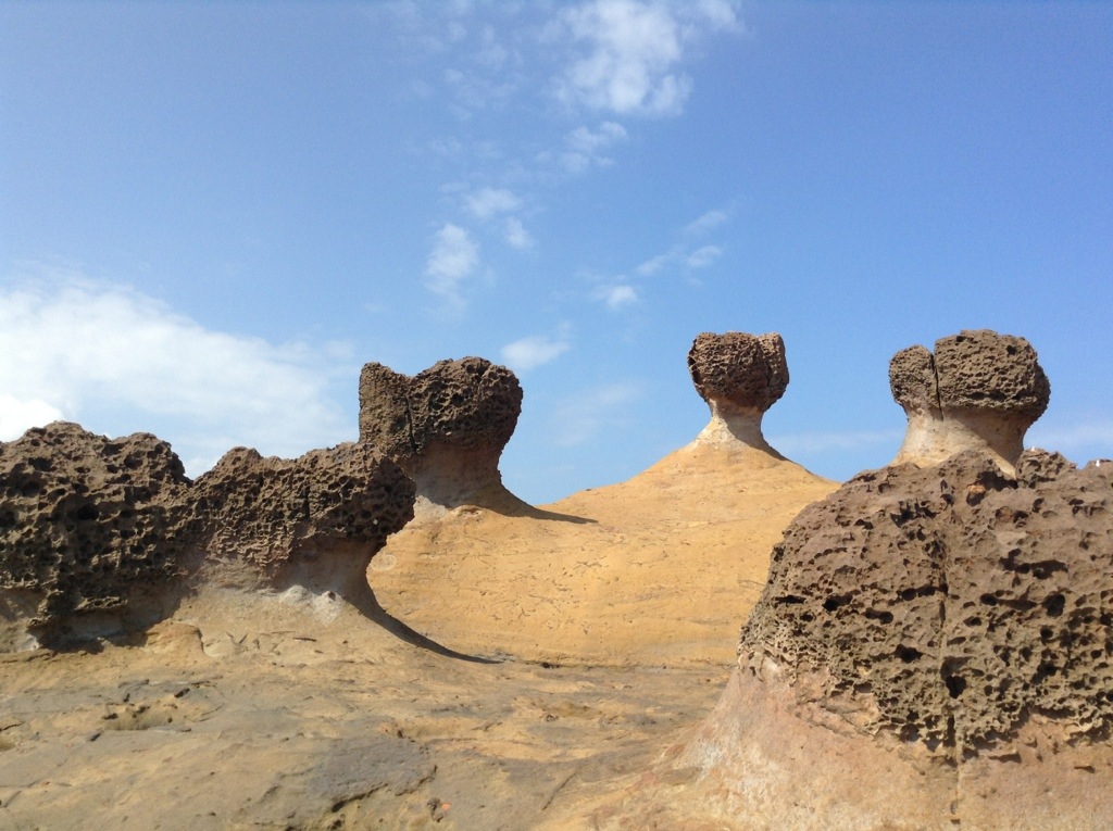 20131102-234122.jpg