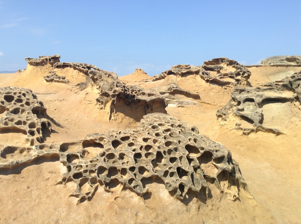 20131102-234141.jpg