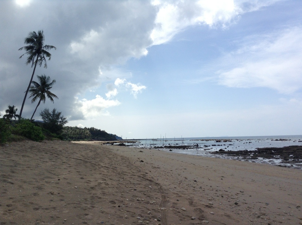 20131119-124741.jpg