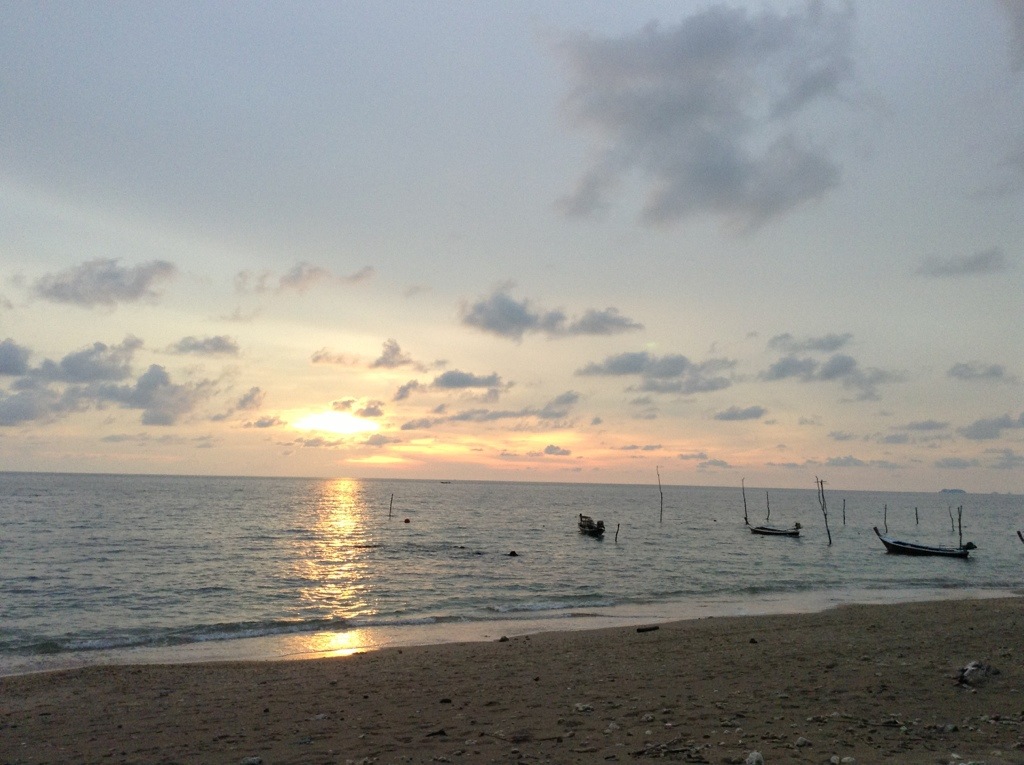 20131119-124838.jpg