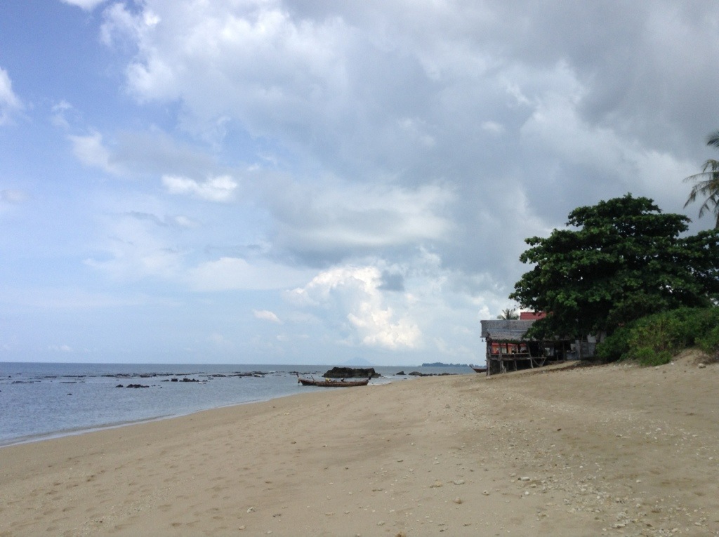 20131119-125034.jpg