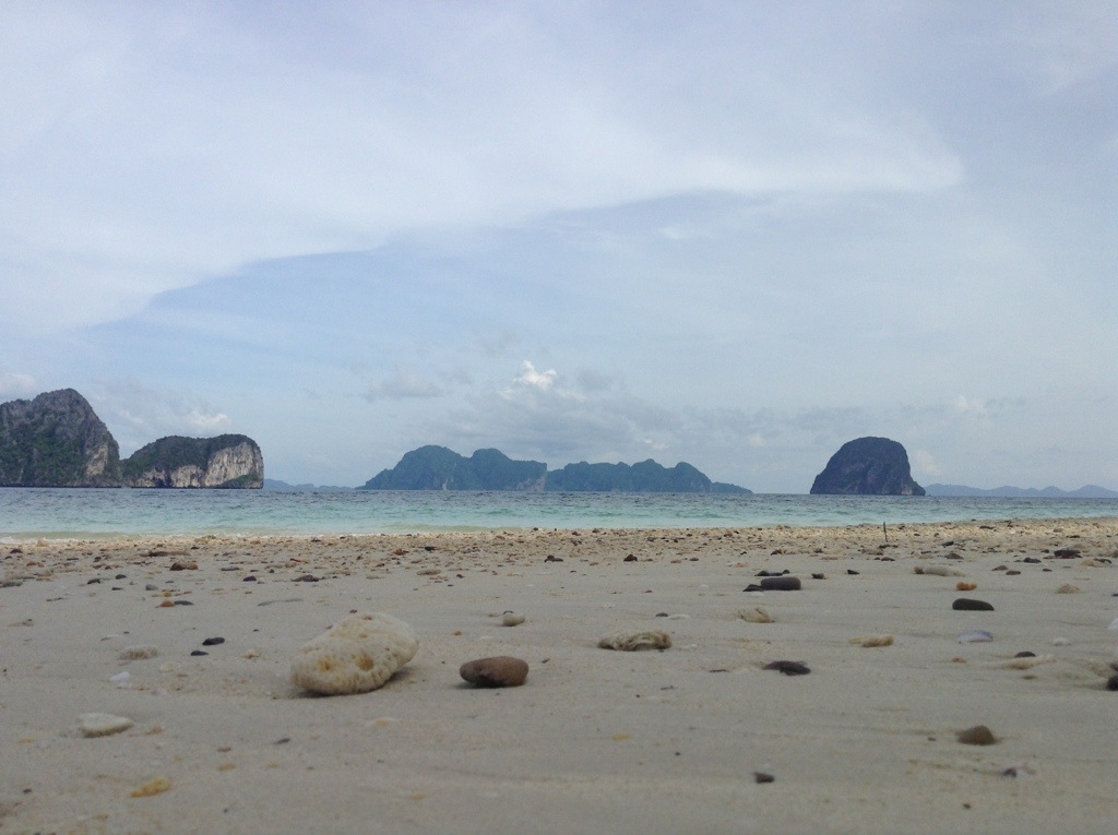 20131119-125702.jpg