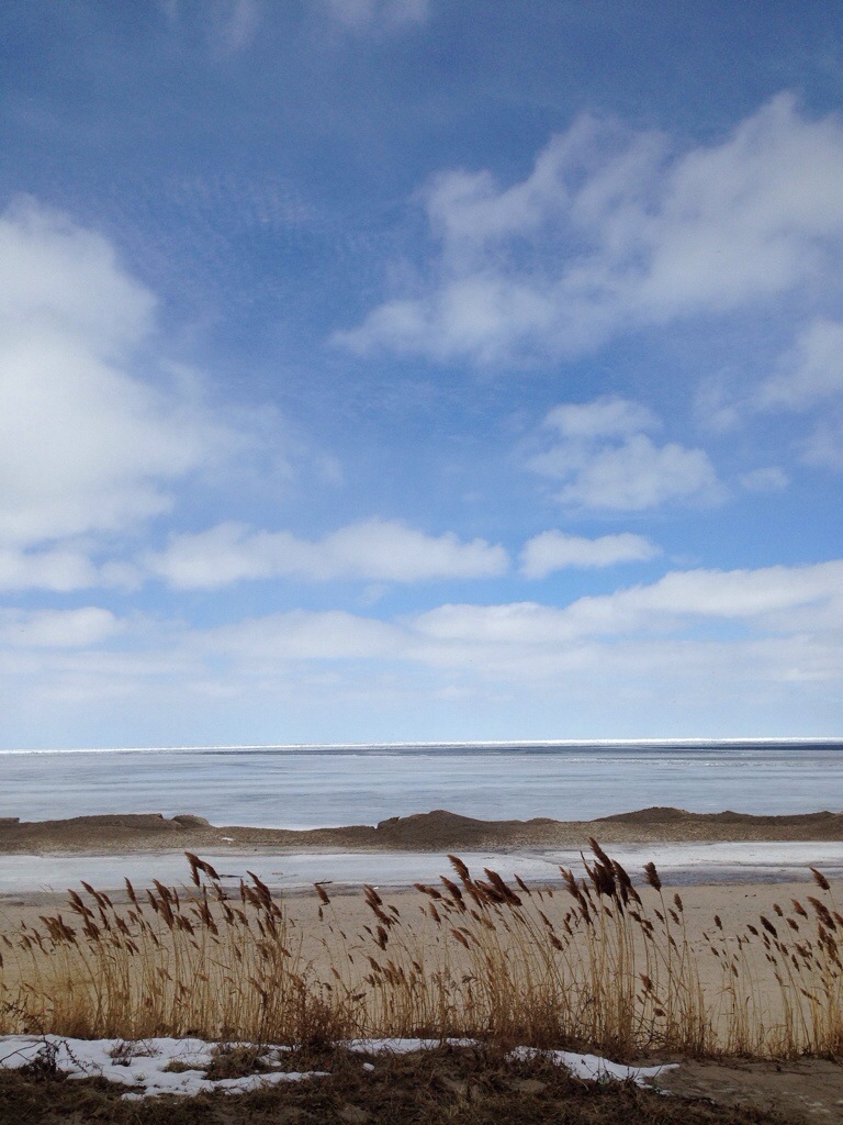 20140317-224625.jpg
